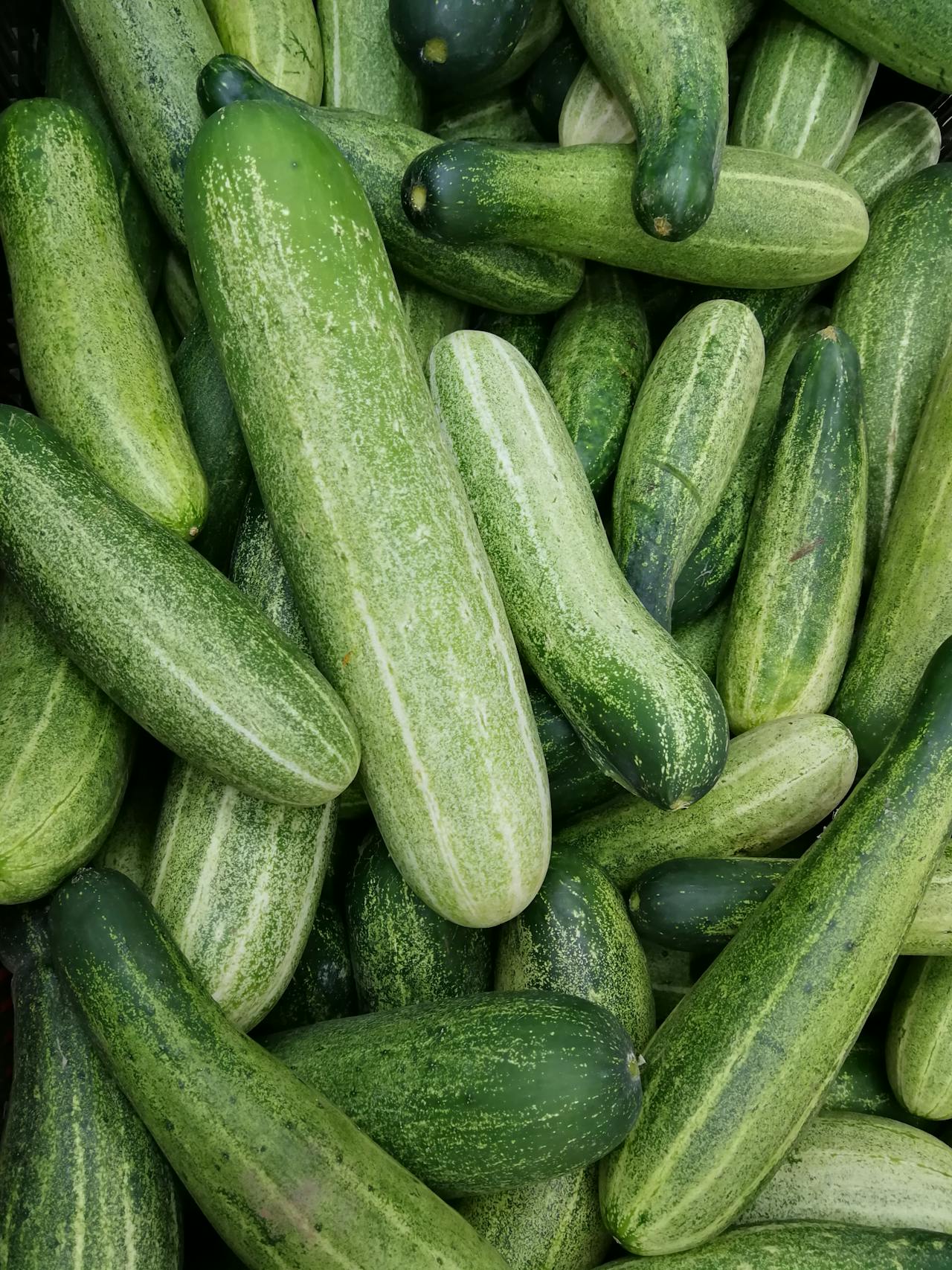 De verborgen kracht van komkommer voor je gezondheid