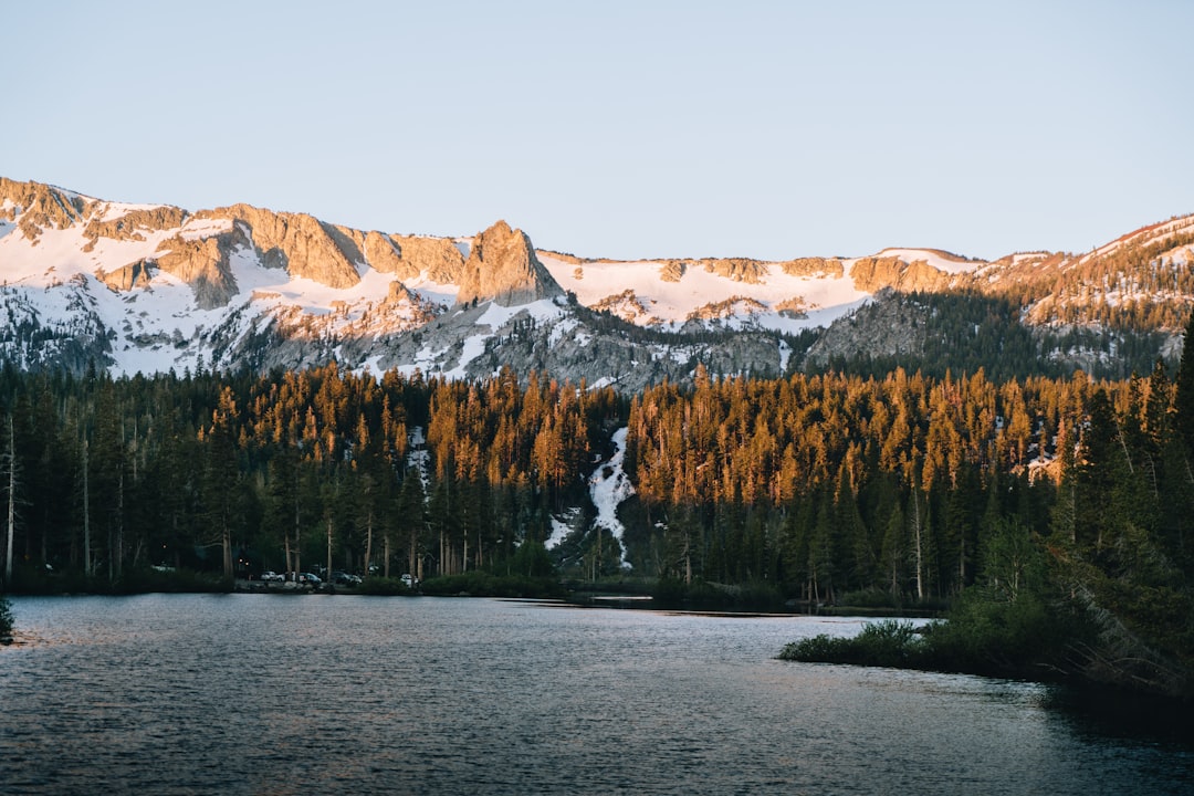 De opkomst van de Terror Twins: Leeftijd, bekendheid en persoonlijk leven