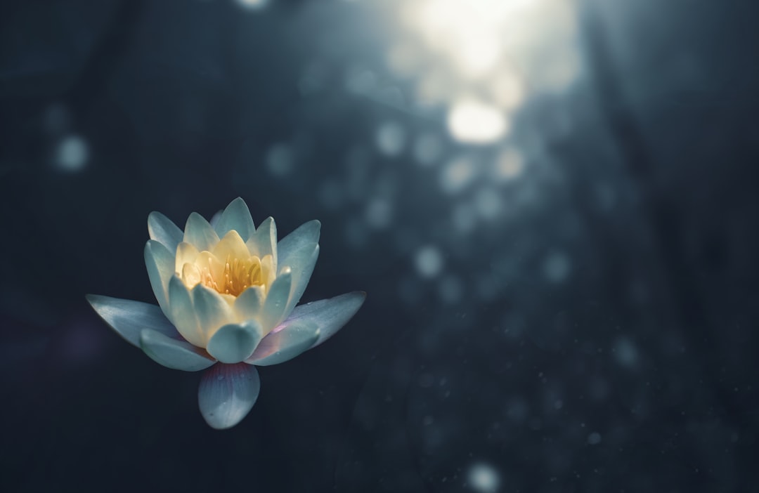 Rust in je broekzak: wat een meditatie app voor je kan doen